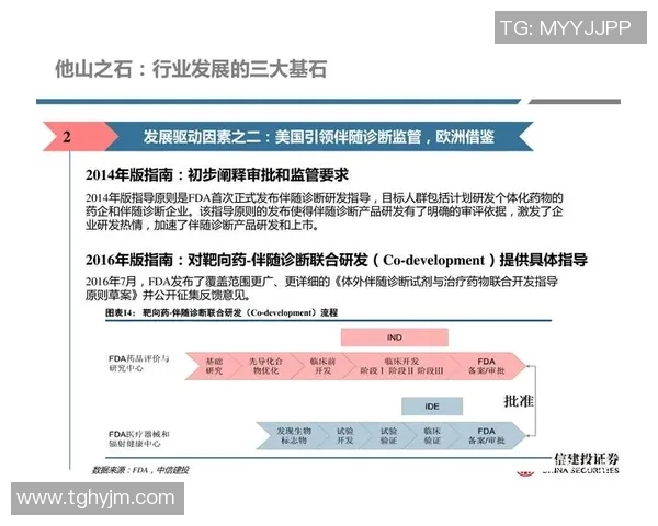 杭州足球队战术解析：聚焦球队风格与比赛策略的深度探讨MBA